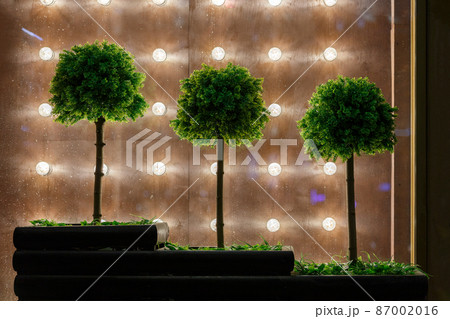 three small decorative green ball trees with on plywood background with lightbulbs at summer night 87002016