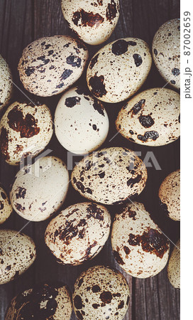 Quail eggs background, full frame 87002659