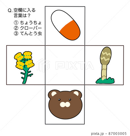 空欄に入る言葉クイズ3  87003005