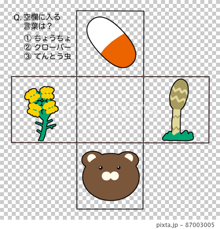 Blank word quiz 3 Blank word quiz 3 87003005