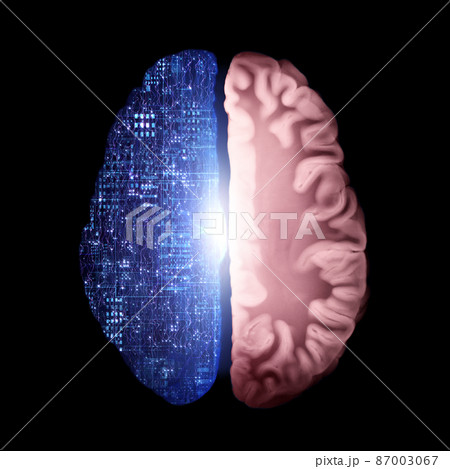 Brain Cross Section Connected To Central Processing Unit, Cyber Neural Networks, Neurolink, Artificial Intelligence, Cpu, Big Data, Internet Networks Brain Cross Section Connected To Central Processing Unit, Cyber Neural Networks, Neurolink, Artificial Intelligence, Cpu, Big Data, Internet Networks 87003067