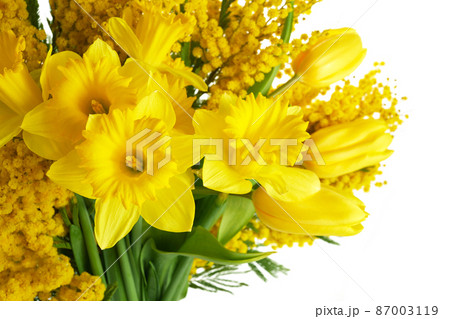 Mimosa, daffodil and tulip flowers bouquet on white background. Easter, Mothers Day, Women's day concept Mimosa, daffodil and tulip flowers bouquet on white background. Easter, Mothers Day, Women's day concept 87003119