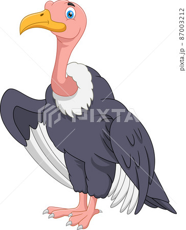 cute cartoon vulture on white background 87003212