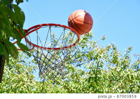 バスケットボールイメージ 87003859