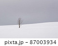 北海道・美瑛町 冬の雪原と一本の木 87003934