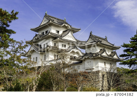 伊賀上野城 天守閣 三重県伊賀市 伊賀上野城 天守閣 三重県伊賀市 87004382