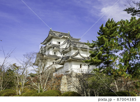 伊賀上野城　天守閣　三重県伊賀市 87004385