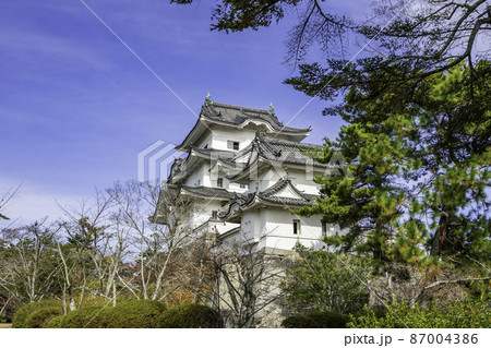 伊賀上野城　天守閣　三重県伊賀市 87004386