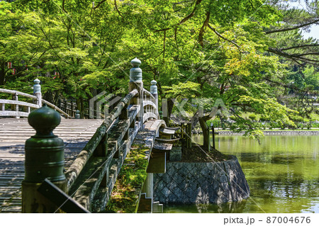 岡崎市　新緑の東公園 87004676