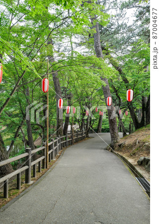 岡崎市　東公園花菖蒲まつり 87004677