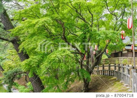 岡崎市 東公園花菖蒲まつり 岡崎市 東公園花菖蒲まつり 87004718