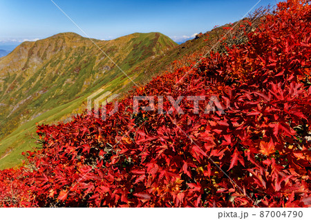 谷川岳稜線の紅葉と一ノ倉岳・茂倉岳 87004790