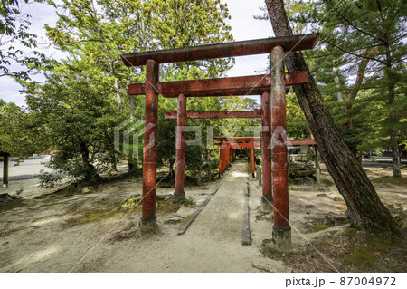 上野公園　城山稲荷神社　三重県伊賀市 87004972