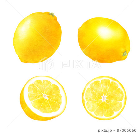レモンの水彩イラスト　断面、カットフルーツ　新鮮な果物 87005060