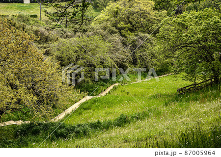 町田市小山田桜台の遊歩道 町田市小山田桜台の遊歩道 87005964