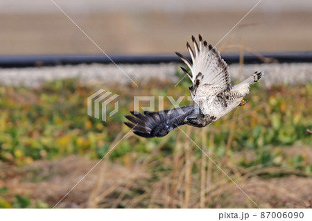 ケアシノスリ 87006090