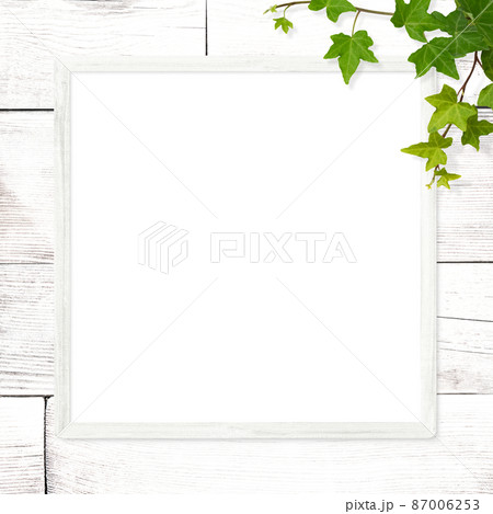 白い木目とアイビーのナチュラルなフレーム 87006253