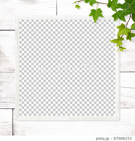 白い木目とアイビーのナチュラルなフレーム 87006253