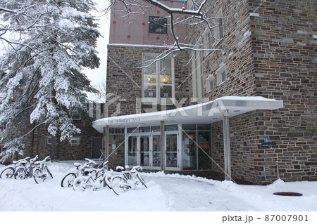 プリンストン大学の雪景色 87007901