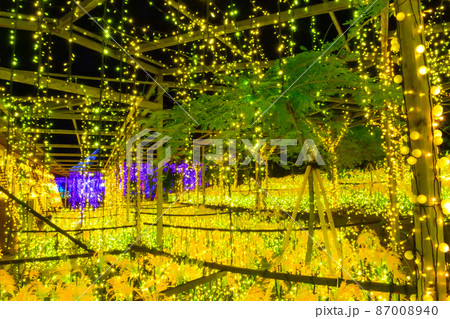 ライトアップされる日本庭園風景　由志園 87008940