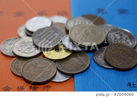 年金手帳　確定申告　iDeCo　老後資金　老後破産　年金受給者　老齢基礎年金　老齢厚生年金　遺族年金 87009060
