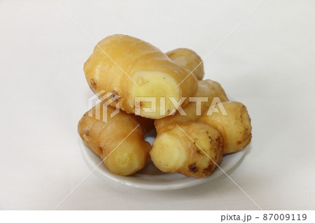 ショウガ　生姜　しょうが 87009119