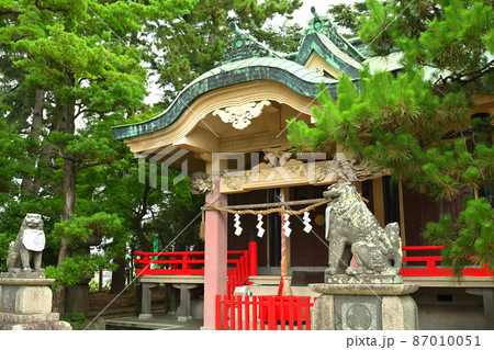 浜松・東照宮 浜松・東照宮 87010051