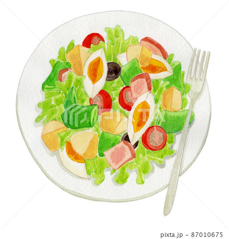 チキンとゆで卵のサラダの水彩イラスト 87010675