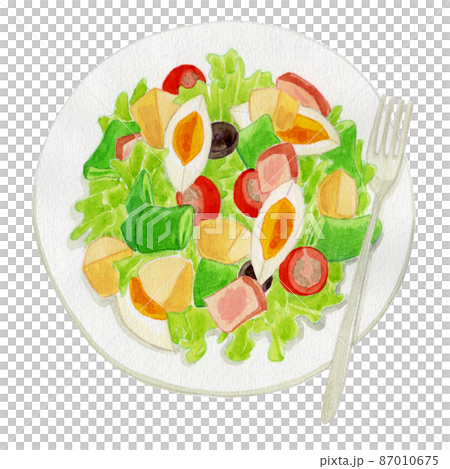 チキンとゆで卵のサラダの水彩イラスト 87010675