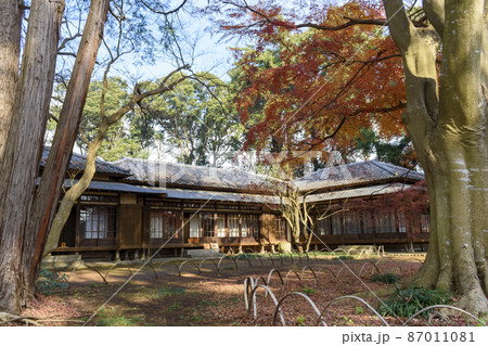 旧岩崎家末廣別邸の紅葉 旧岩崎家末廣別邸の紅葉 87011081