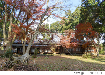 旧岩崎家末廣別邸の紅葉 87011131
