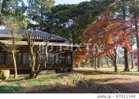 旧岩崎家末廣別邸の紅葉 87011140