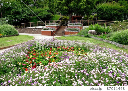 多摩川台公園　東京都大田区田園調布  桜  あじさいの名所   自然林の道  古墳  展望台 山野草 87011448
