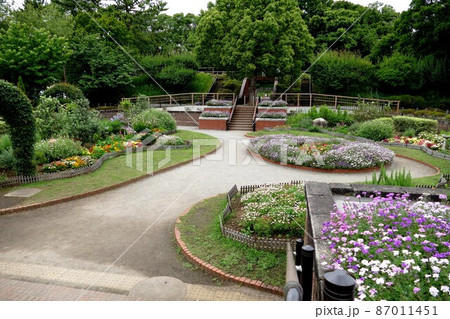 多摩川台公園 東京都大田区田園調布 桜 あじさいの名所 自然林の道 古墳 展望台 山野草 多摩川台公園 東京都大田区田園調布 桜 あじさいの名所 自然林の道 古墳 展望台 山野草 87011451