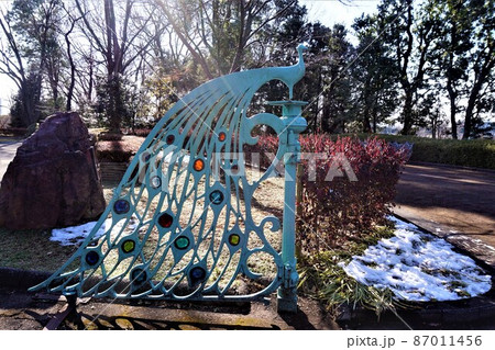 川口グリーンセンター 大集会堂 川口グリーンセンター 大集会堂 87011456