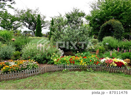 多摩川台公園 東京都大田区田園調布 桜 あじさいの名所 自然林の道 古墳 展望台 山野草 多摩川台公園 東京都大田区田園調布 桜 あじさいの名所 自然林の道 古墳 展望台 山野草 87011476