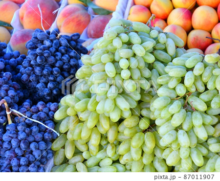 Ripe grapes of the new harvest Ripe grapes of the new harvest 87011907