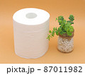 トイレットペーパーと植物　カラー背景 87011982