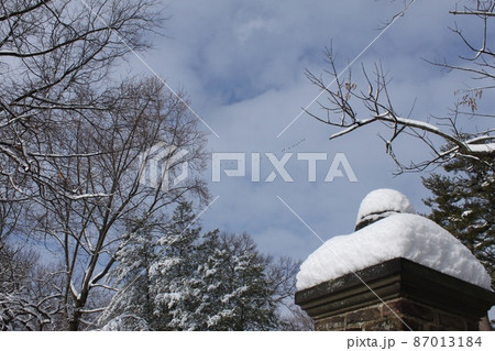 ニュージャージー州の雪景色 ニュージャージー州の雪景色 87013184