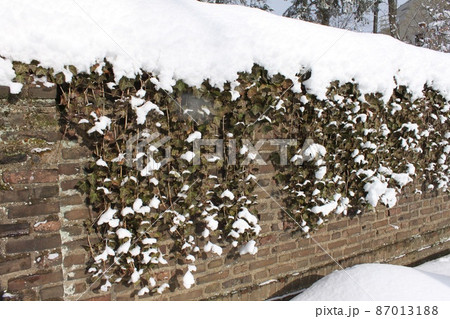 ニュージャージー州の雪景色 ニュージャージー州の雪景色 87013188