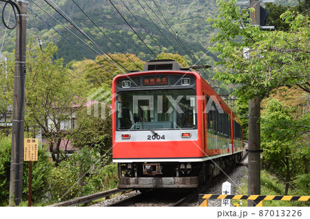 新緑の山中を下る箱根登山鉄道 2000形(箱根湯本行き 大平台ー上大平台信号場) 新緑の山中を下る箱根登山鉄道 2000形(箱根湯本行き 大平台ー上大平台信号場) 87013226