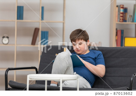 A young boy is sitting at home on the sofa reading a book. 87013602