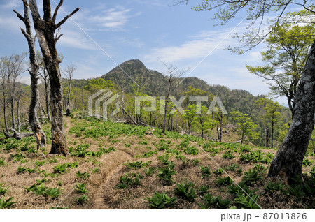 釈迦ヶ岳を望む 【奈良県十津川村・下北山村】 釈迦ヶ岳を望む 【奈良県十津川村・下北山村】 87013826