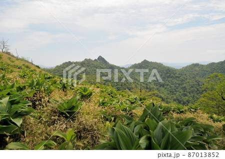 古田の森付近から大日岳方面を望む 【奈良県十津川村・下北山村】 古田の森付近から大日岳方面を望む 【奈良県十津川村・下北山村】 87013852