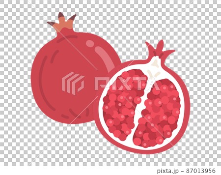 カットしたザクロのイラストのイラスト素材 カットしたザクロのイラストのイラスト素材