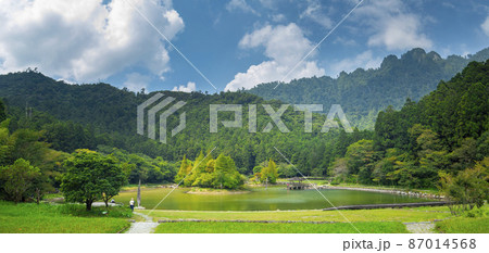 草 芝生 芝 87014568