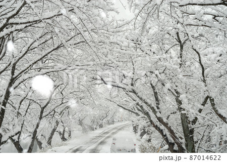 雪景色 雪景色 87014622