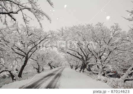 雪景色 雪景色 87014623