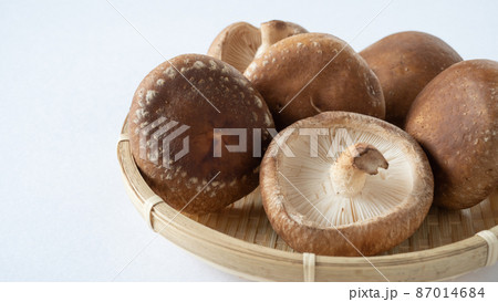 しいたけ 87014684