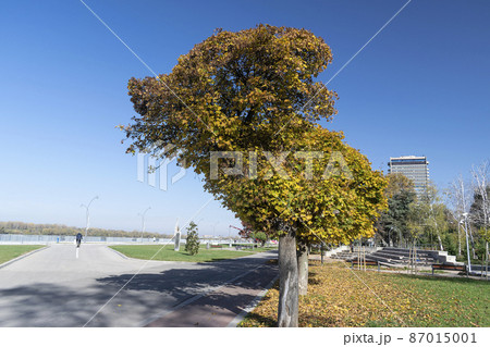 Travelling to Ruse, near the river Danube, one beautiful town in Bulgaria Travelling to Ruse, near the river Danube, one beautiful town in Bulgaria 87015001
